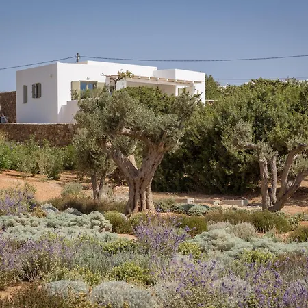 Villa Eleonas Estate - With Partially Private Pools & Professional Tennis Court