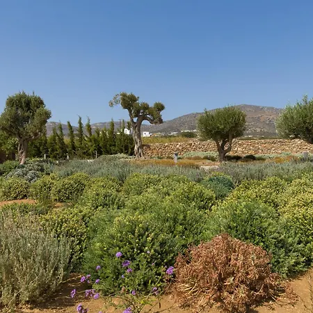 Eleonas Estate - With Partially Private Pools & Professional Tennis Court Villa Parikia (Paros)